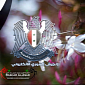 Qatar Restores Websites Defaced by Syrian Electronic Army