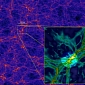 Quasar Illuminates Cosmic Web Filaments for the First Time