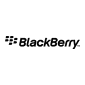 RIM Announces Hosted BlackBerry Enterprise Server
