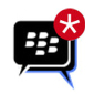 RIM Rolls Out Blackberry Messenger Social Platform for Developers