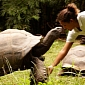 Rare $3000 (€2,313) Tortoise Sold for $45 (€34.7) by “Professional” Wildlife Trafficker