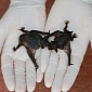 Rare Bat Twins Thriving at Zoo in New Zealand