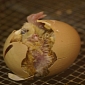 Rare Bird Embryo Grows Inside a Chicken Egg, Hatches Normally
