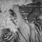 Rare Sumatran Tiger Born in San Francisco