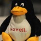 Recession Driving Linux Adoption at the Expense of Windows