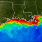 Record-Setting Dead Zone Likely to Form in the Gulf of Mexico This Year