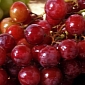 Red Grapes and Blueberries Work Wonders for the Immune System
