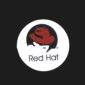 Red Hat & Microsoft: Open Standards or No Deal