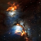 Reflection Nebula Reveals Intense Stellar Formation