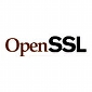 Remote Code Execution Bug Patched in OpenSSL