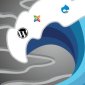 Report Shows WordPress Dominance Amongst CMSs