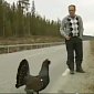 Reporter Attacked by Wild Bird, Incident Caught on Tape