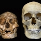Researchers Document New Homo Species