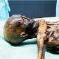 Researchers Find New Tattoos on Ötzi the Iceman's Ribcage