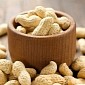 Researchers Find Peanuts Protect the Heart, Prolong Life