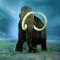 Researchers Sequence Woolly Mammoth DNA