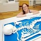 Richard the Third's Whole Skeleton Has Been 3D Printed – Video