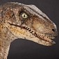 Rise of the Dino-Chicks: Velociraptor Snouts Grown on Baby Chickens