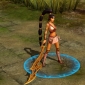 Rise of the Immortals Will Have Persistent Character Leveling, Social Space