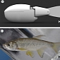 Robotic Fish Joins School, Reveals Its Secrets