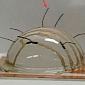 Robotic Whiskers Fashioned from Nanoscale Tubes and Particles