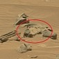 Rocks on Mars Kind of, Sort of Look like an Ancient Cat Statue