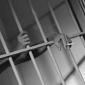 Romanians Sent to Prison for Online Fraud