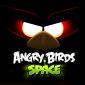 Rovio Plans to Make Angry Birds Global Brand with Space