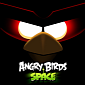 Rovio's New “Angry Birds Space” Launching in March