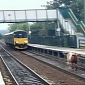 Runaway Cow Gets on Train Tracks, Stops Morning Commute in UK Station