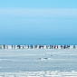 Runners Race Across the Frozen Surface of Baikal Lake – Photo Gallery