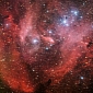 'Running Chicken' Nebula Imaged in Detail