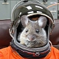 Russian Mice and Lizards Successfully End One-Month-Long Mission in Space