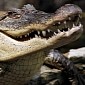 Russian Woman Falls on Top of Crocodile, Nearly Crushes It