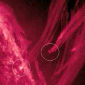 SDO Images Plasma 'Rain' on the Sun
