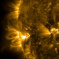 SDO Sees Massive Coronal Loop on Sun's Surface