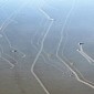 Sailing Stones Finally Filmed Cruising Death Valley Lake Bed