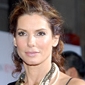 Sandra Bullock's Marriage Troubles Used in BHSEO Campaigns
