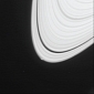 Saturn's A Ring May Be Forming a New Moon