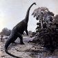 Sauropods Didn't Chew Their Food
