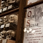 “Save Our Skulls” Program in US Museum Asks Donors for Restoration Funds