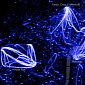Sci-Fi Looking Animation Shows the Most Common Routes Used by People Riding Their Bikes