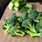Science-Made Broccoli Does a Great Job Reducing Cholesterol