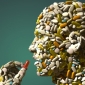 Scientists Develop Pill to Erase Bad Memories