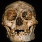 Scientists Discover Alleged 'Hobbit' Jaw Bone