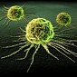 Scientists Gain New Insight into How Cancer Spreads Through the Body