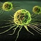 Scientists Identify Signals Cancers Use to Recruit Host Cells