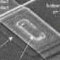 Scientists Image 'Magnetic Semiconductors' on the Nanoscale