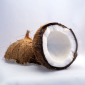 Scientists Make Car Parts from Coconut Husks