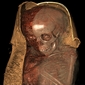 Scientists Reach Back 2,000 Years to Bring Rare Child Mummy Back to Life